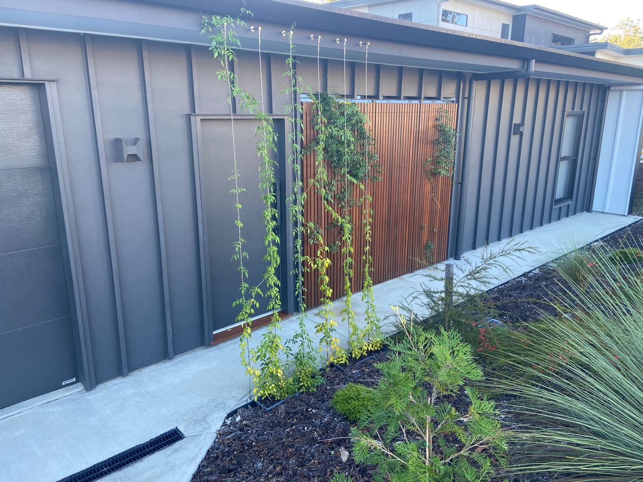 Modern home exterior with timber screen fence